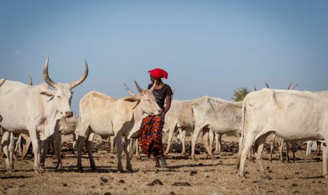 In the Ndiael Reserve, Senegal, ActionAid has supported local farmers to protect their land rights